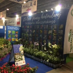 Stoisko targowe szkółki roślin ozdobnych z ekspozycją odmian powojników, tablicą informacyjną o 25-leciu pracy hodowlanej i flagą Związku Szkółkarzy Polskich.