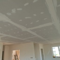 Płyta karton gips Buk 2