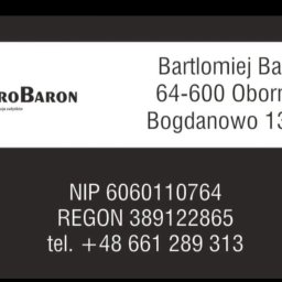 RetroBaron - Perfekcyjny Montaż Sufitu Podwieszanego w Obornikach