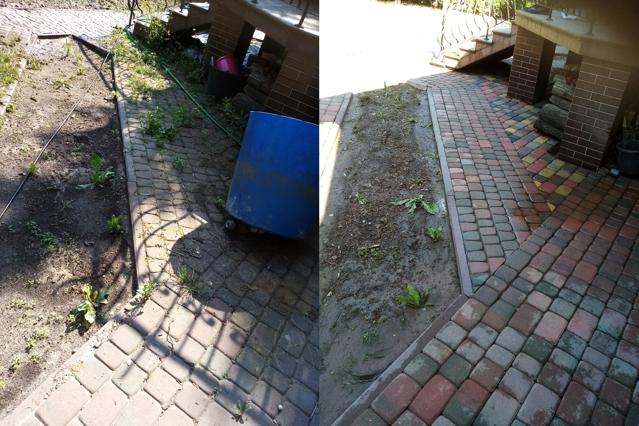 Fragment posesji z kostką brukową przed i po czyszczeniu, widoczna różnica w wyglądzie, zarośnięte chwasty na ziemi obok kostki, niebieski pojemnik na pierwszym planie.