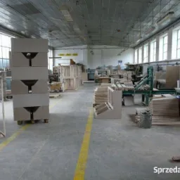 Wnętrze hali produkcyjnej z ułożonymi w stos elementami meblowymi z surowego drewna, widoczne maszyny stolarskie i materiały.