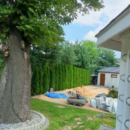 Prace ziemne w Bytomiu w ogrodzie z dużym drzewem, przygotowanie terenu pod budowę, widoczne worki z materiałem i narzędzia.