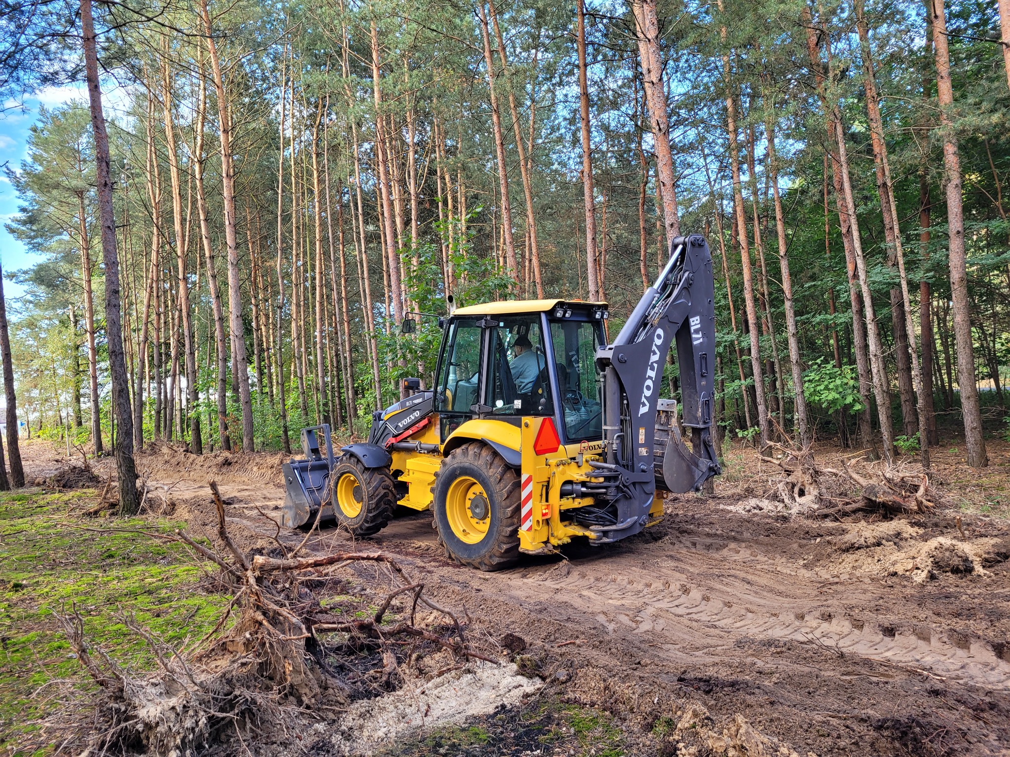Żółta koparko-ładowarka Volvo na terenie leśnym, świeżo wyrównany teren z widocznymi śladami opon i korzeniami drzew.