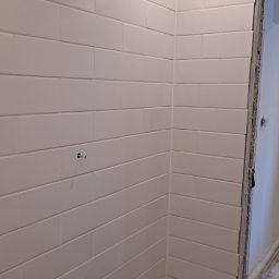 Glazurnik Konarzyny 3