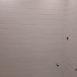 Glazurnik Konarzyny 4