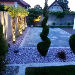 Oświetlony ogr&oacute;d przydomowy z krętym drzewkiem, kamieniami ozdobnymi, trawą i podświetlanymi drzewami w plecionej osłonie, widok na domy w tle.