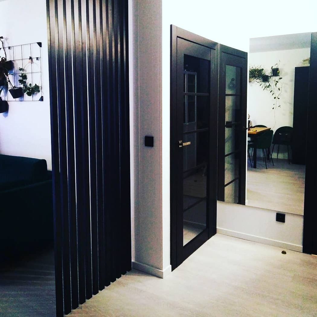 Nowoczesne wnętrze z ciemnymi, szklanymi drzwiami wewnętrznymi, lamelową ścianką działową i jasną podłogą, widok na pokój z roślinami doniczkowymi.