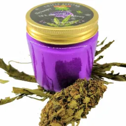 Fioletowy słoik z etykietą 'Świeca Konopna' na złotym wieczku, obok pączek konopi i suszone liście na białym tle.