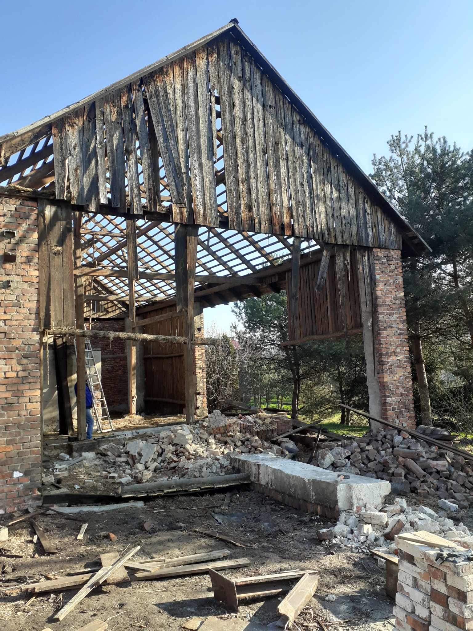 Rozbiórka starego, ceglanego budynku gospodarczego z drewnianą konstrukcją dachu, widoczne pozostałości ścian i sterty gruzu, drabina oparta o ścianę wewnątrz budynku.