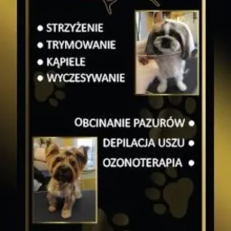 Ulotka reklamowa salonu 'Beauty Dog' oferującego strzyżenie, trymowanie, kąpiele, wyczesywanie, obcinanie pazurów, depilację uszu i ozonoterapię dla psów, z rabatem 10% na pierwszą wizytę po...