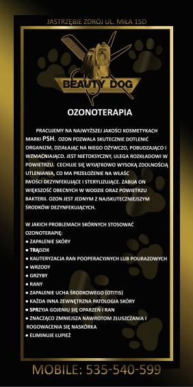 Czarno-złoty folder reklamowy salonu 'Beauty Dog' z Jastrzębia-Zdroju, promujący ozonoterapię dla zwierząt, z informacjami o zaletach i zastosowaniach zabiegu.