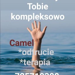 Możemy Tobie pomóc profesjonalnie!