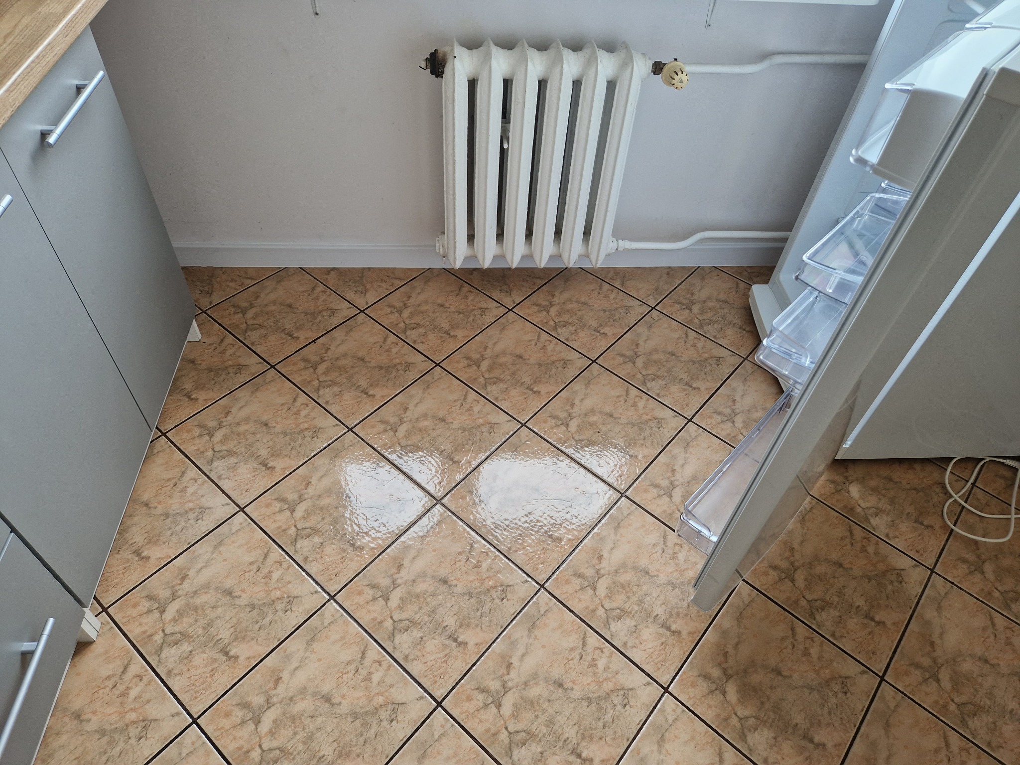 Kafelki podłogowe w kuchni z widocznym fragmentem szafki, grzejnika ściennego i otwartą lodówką z przezroczystymi półkami.