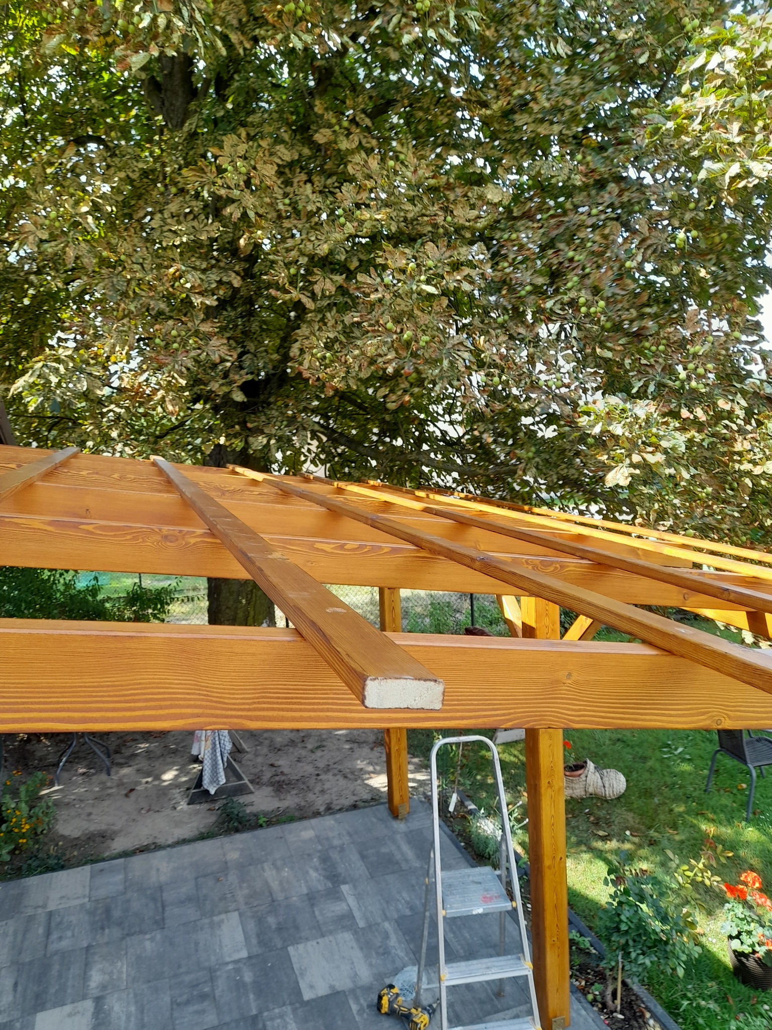 Konstrukcja drewnianej altany w trakcie budowy, widoczna drabina i wkrętarka, w tle drzewo i trawnik.