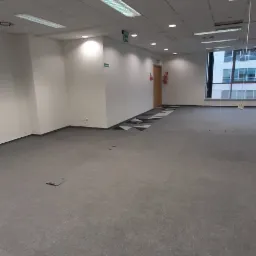 Pusta, jasna przestrzeń biurowa z szarą wykładziną, białymi ścianami, podwieszanym sufitem z rastrowymi lampami i widokiem na budynek biurowy przez okno.