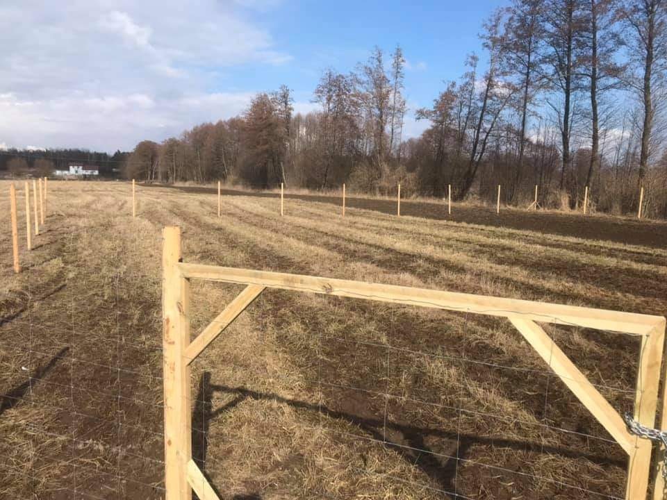 Montaż ogrodzenia z siatki: drewniana rama bramy z siatką na tle pola z wbitymi słupkami, wczesna wiosna.