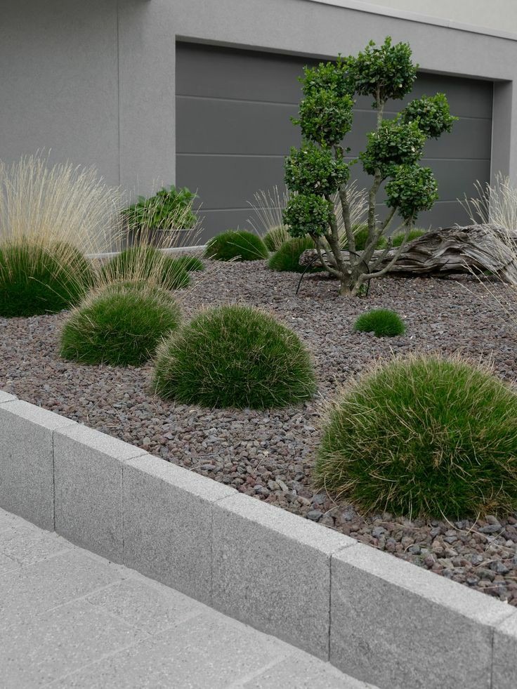 Nowoczesny ogród z kulistymi krzewami trawy, ozdobnym drzewem bonsai i szarą korą kamienną, obrzeże z kostki betonowej, tło stanowi szara brama garażowa.