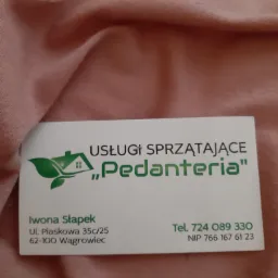 Wizytówka firmy sprzątającej 'Pedanteria' na tle lekko pogniecionej, różowej tkaniny. Wizytówka zawiera logo z zielonym liściem i zarysem domu, dane kontaktowe Iwony Stapek, adres w Wągrowcu...