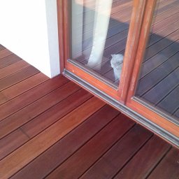 RedWood - Drewniany taras z desek kompozytowych w odcieniach brązu, przylegający do białej ściany i okna tarasowego, w którym widać siedzącego kota.
