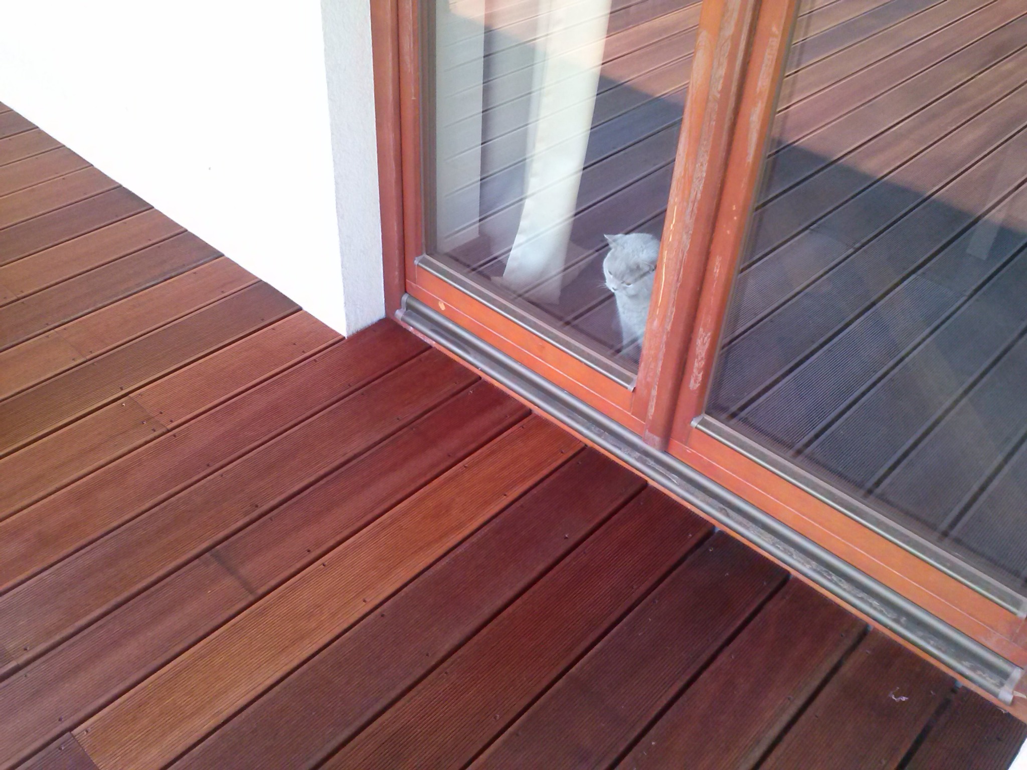 Drewniany taras z desek kompozytowych w odcieniach brązu, przylegający do białej ściany i okna tarasowego, w którym widać siedzącego kota.
