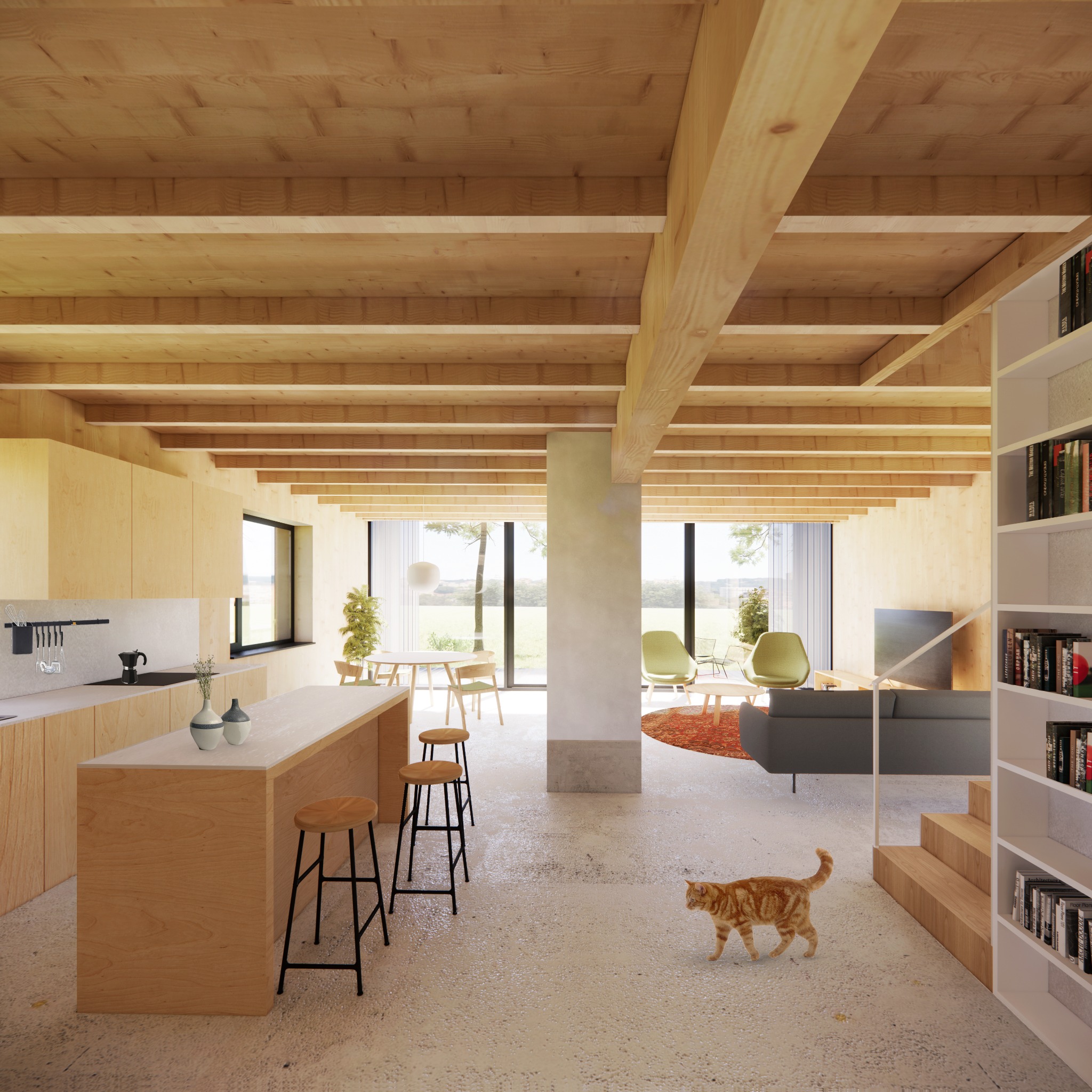 Jasne wnętrze domu z drewnianymi elementami konstrukcyjnymi, wyspą kuchenną, szarym narożnikiem, regałem z książkami i rudym kotem spacerującym po betonowej podłodze.