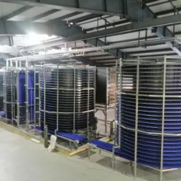 Spiralny system chłodniczy z niebieskimi taśmami transportującymi w hali produkcyjnej.