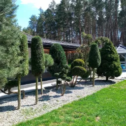 Uformowane drzewa iglaste i krzewy ozdobne na białym żwirze, z budynkiem i altaną w tle, trawnik z przodu, widoczne narzędzia ogrodnicze.