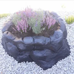 Czarna, betonowa donica w kształcie skały, wypełniona ziemią i kwitnącą lawendą, otoczona białym żwirem.