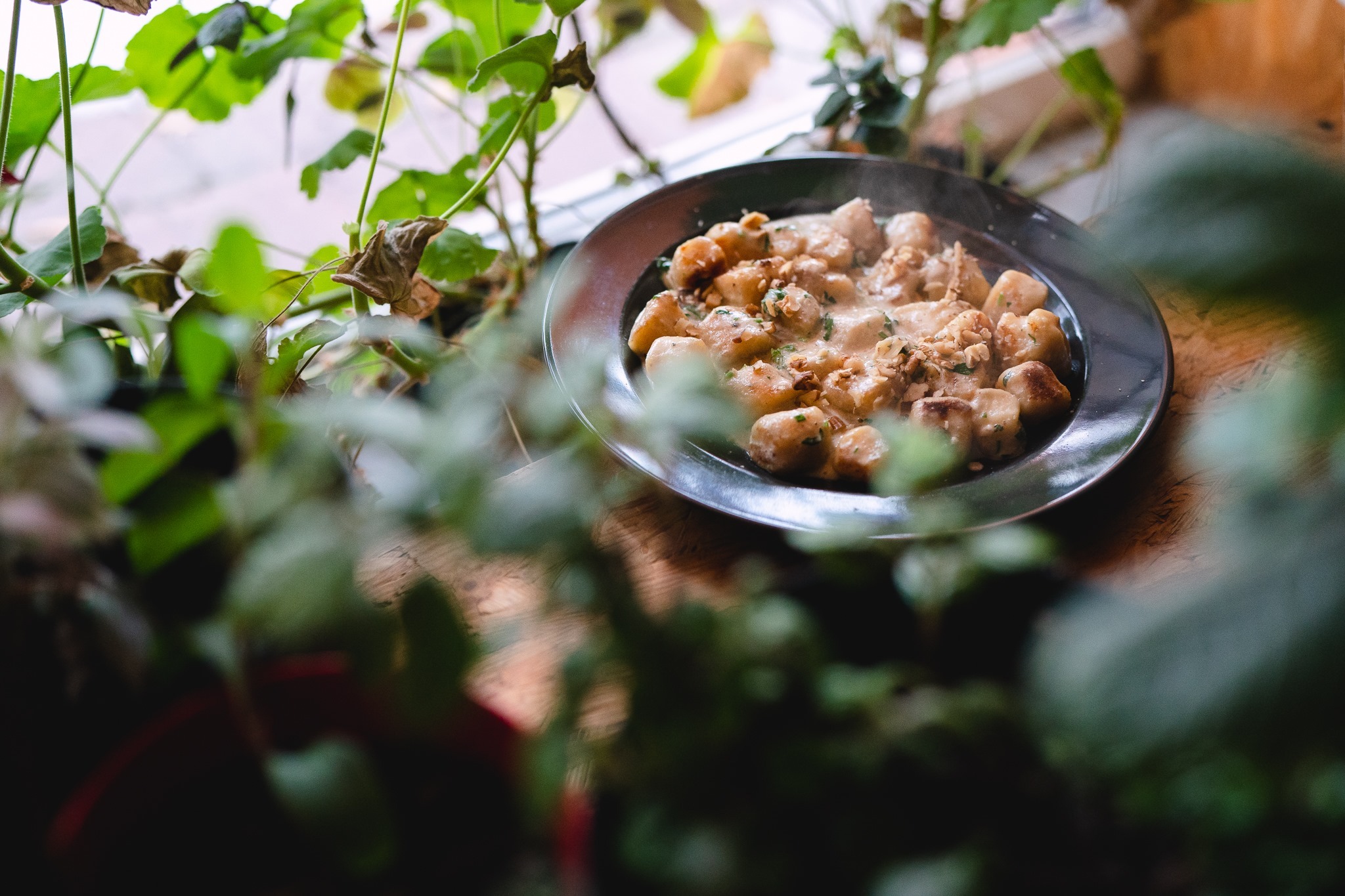 Parujące kluski gnocchi w kremowym sosie na ciemnym talerzu, dekorowane zielonymi ziołami, ustawione na drewnianym blacie obok roślin doniczkowych przy oknie.