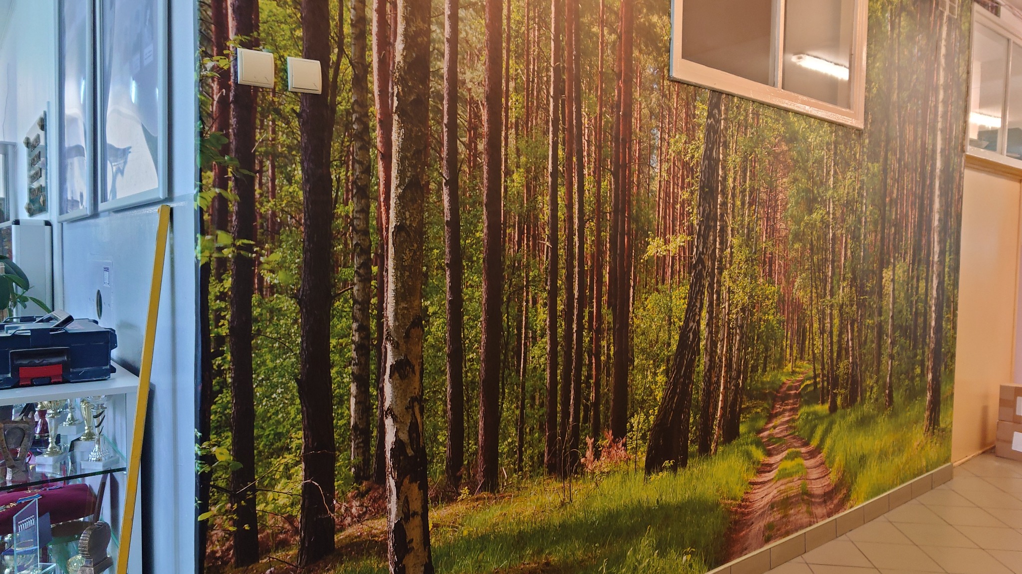 Fotorealistyczna tapeta z motywem leśnej ścieżki, imitująca głębię lasu, naklejona na ścianie biura, z widocznymi włącznikami światła i fragmentem okna w górnej części.