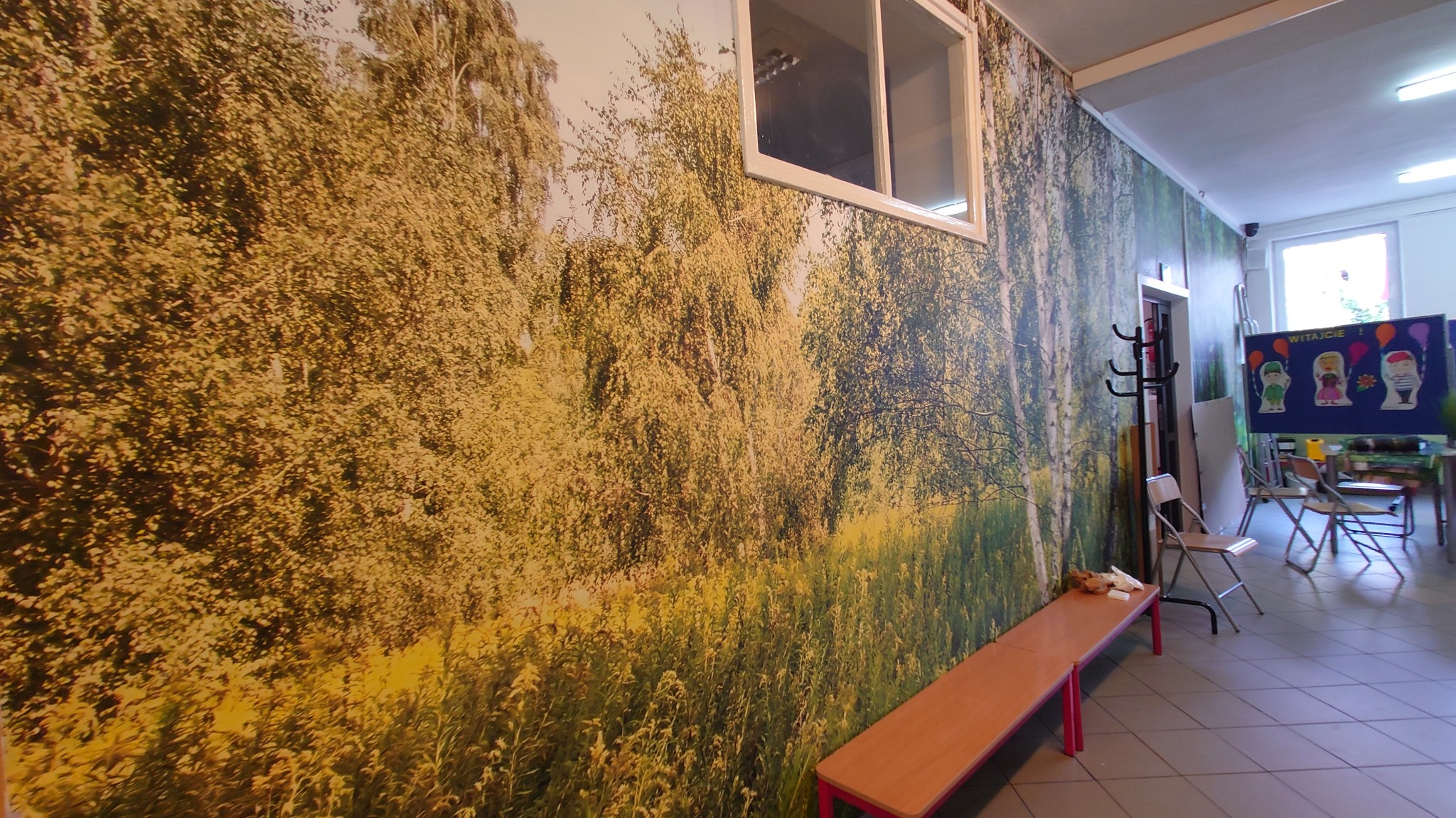 Fototapeta z motywem brzozowego lasu na ścianie korytarza z oknem, ławką i wieszakiem na ubrania.