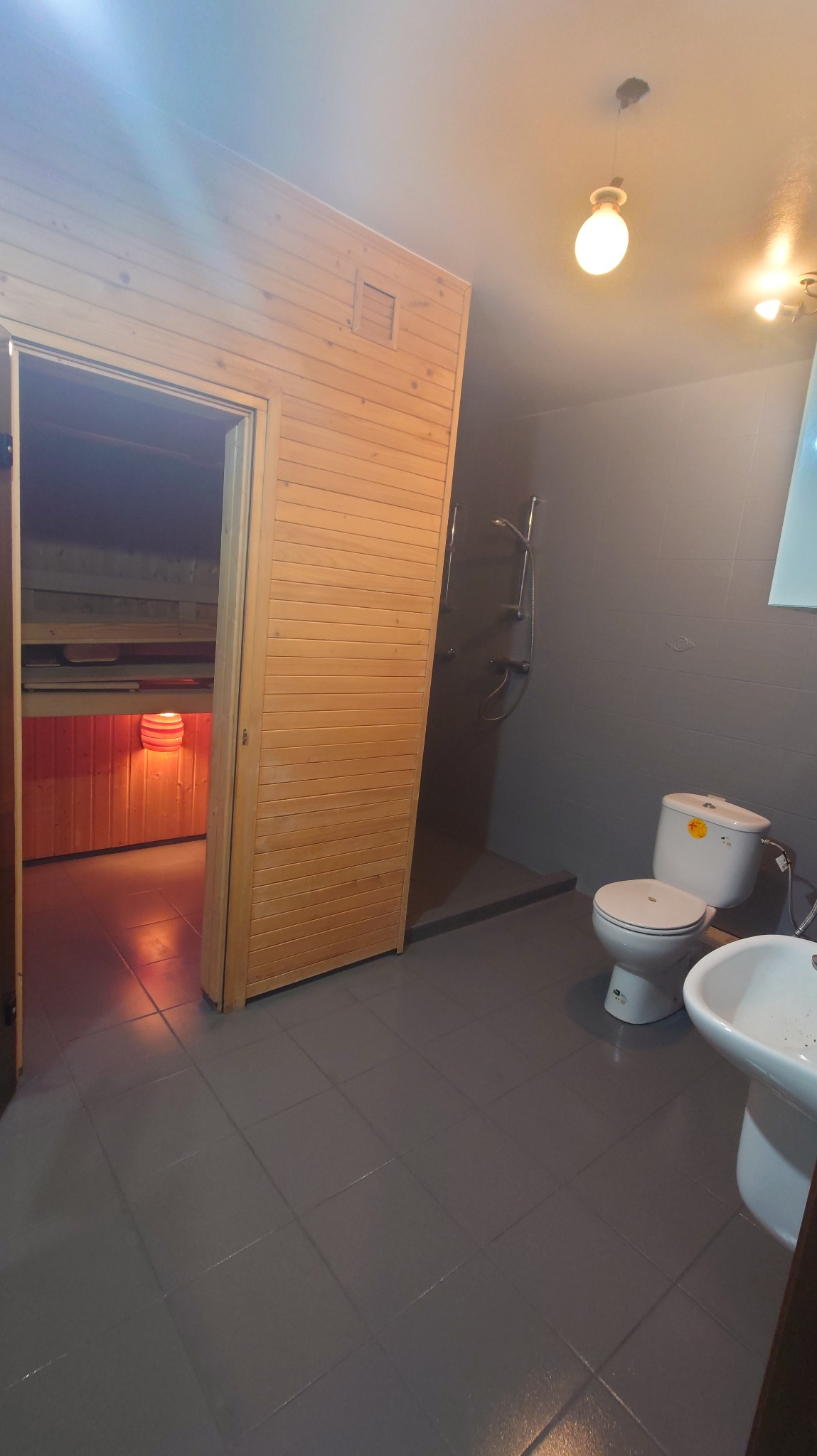 Szara łazienka z drewnianą sauną z przesuwnymi drzwiami, widoczna kabina prysznicowa i umywalka. Nowoczesne oświetlenie sufitowe.