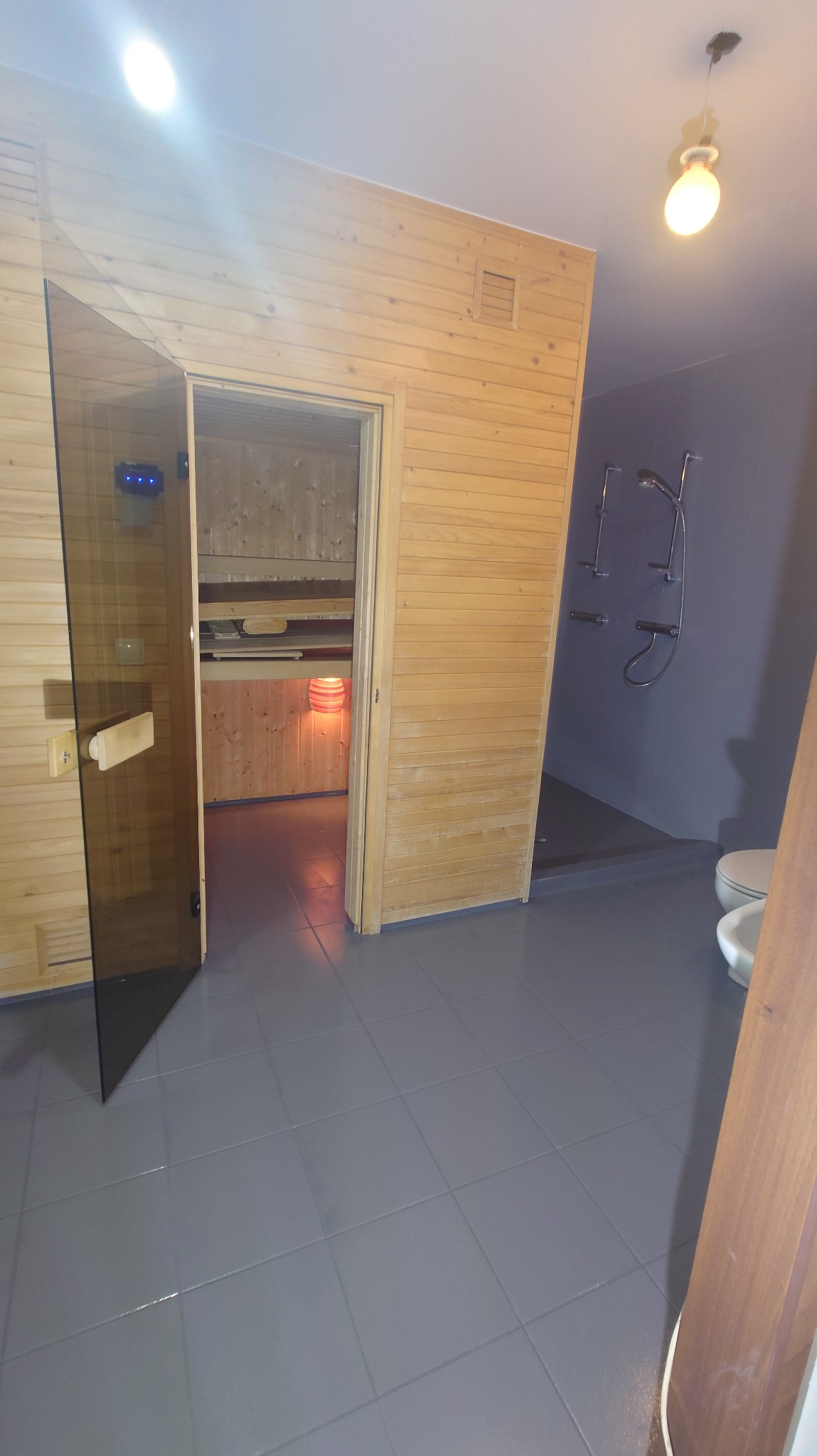 Wykończona łazienka z sauną: drewniane panele ścienne, szklane drzwi do sauny z podświetleniem, szare płytki podłogowe, prysznic i toaleta w tle.