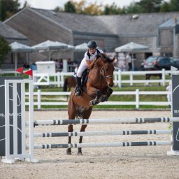 Stadniny i jazda konna Ustka 2