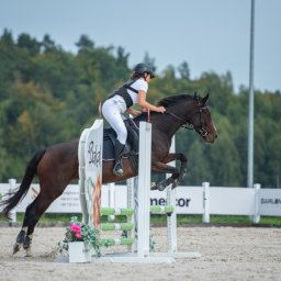 Stadniny i jazda konna Ustka 3