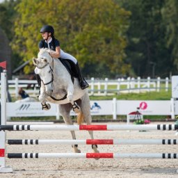 Stadniny i jazda konna Ustka 4