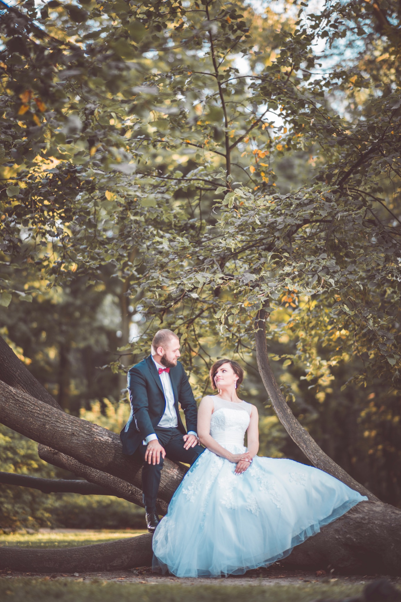 Para młoda siedząca na konarze drzewa w parku, panna młoda w białej sukni z niebieskim odcieniem i pan młody w ciemnym garniturze z czerwoną muszką, romantyczna sesja plenerowa.