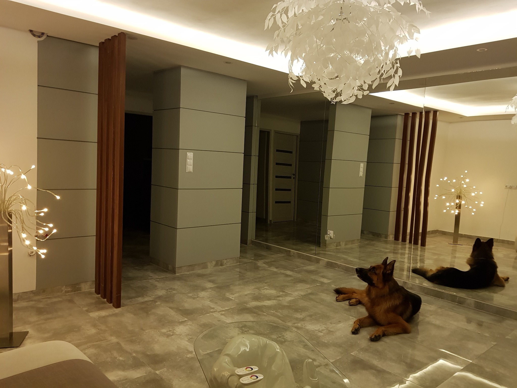 Nowoczesne wnętrze mieszkania z szarymi ścianami, drewnianymi panelami dekoracyjnymi, designerskim żyrandolem i psem rasy owczarek niemiecki leżącym na podłodze z płytek imitujących kamień.
