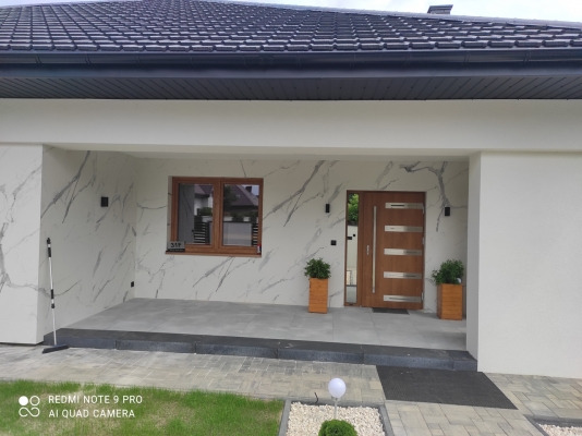 Nowoczesny dom z elewacją imitującą marmur, drewniane okno i drzwi z metalowymi akcentami, donice z zielonymi roślinami po obu stronach wejścia.