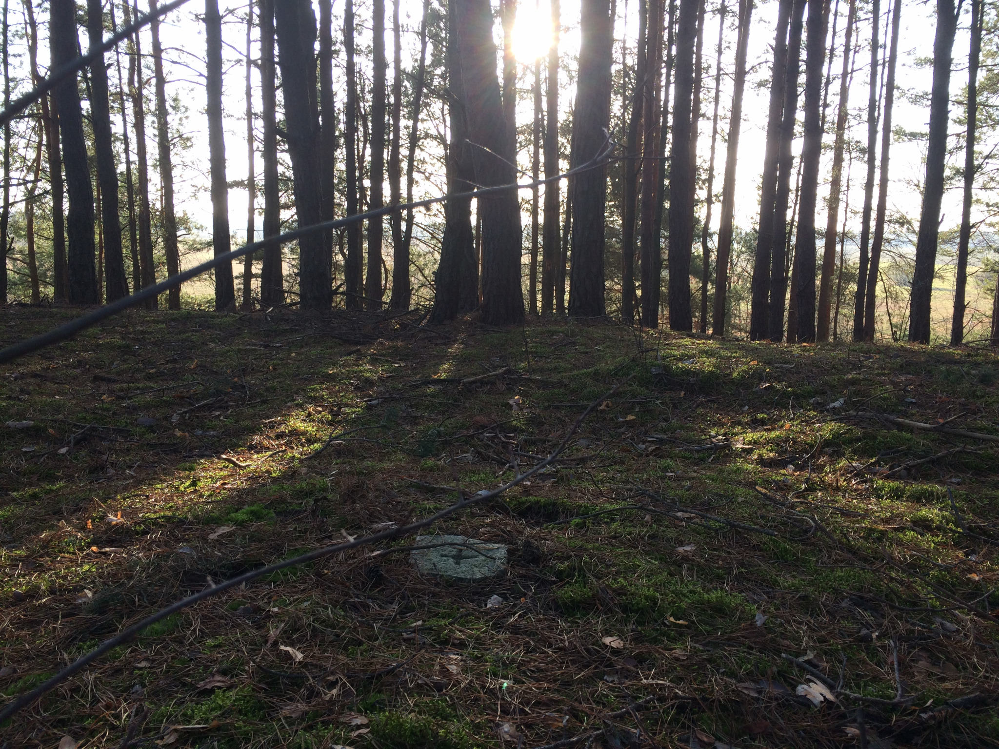 Punkt II klasy dokładności