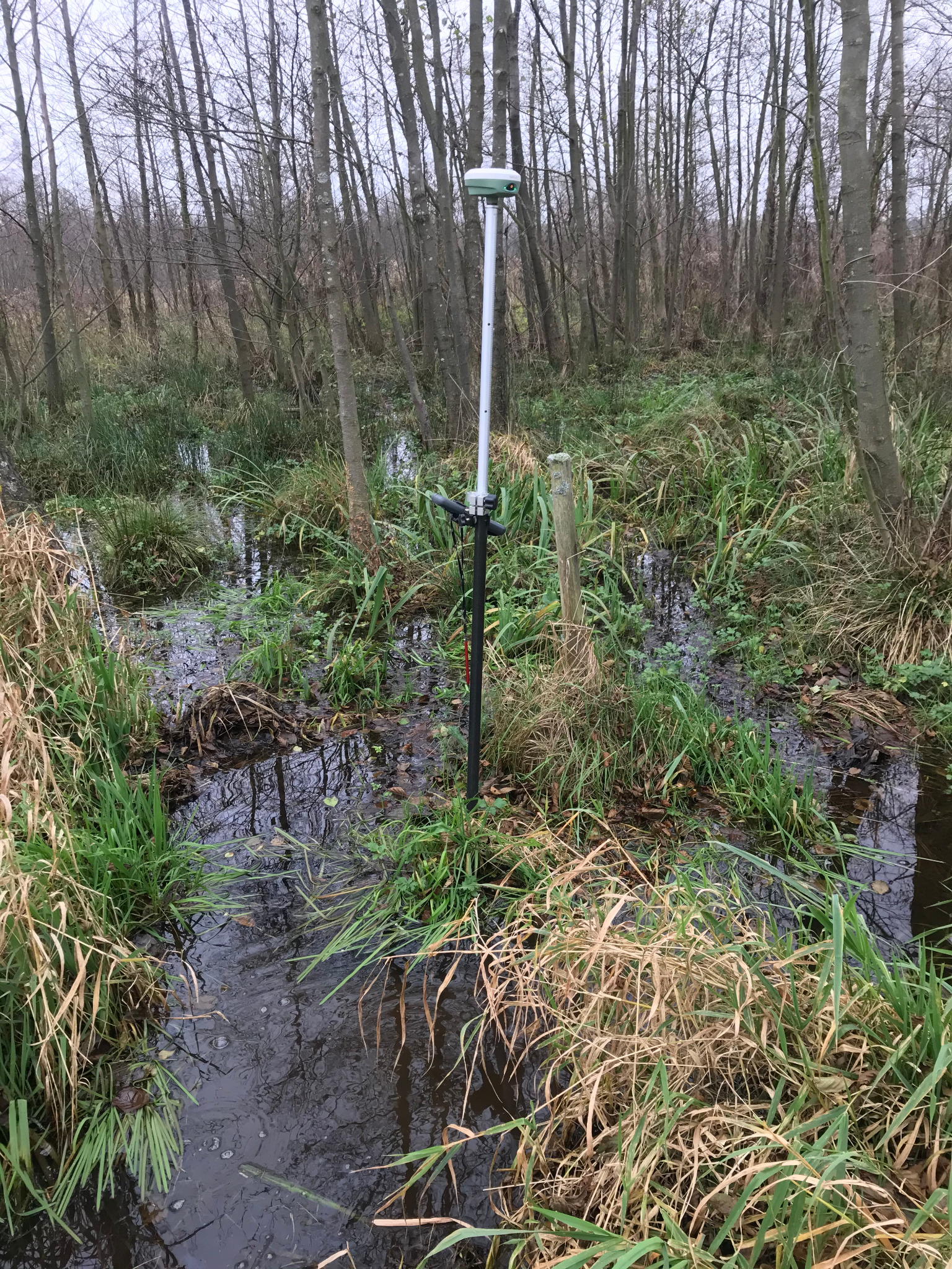 Pomiar geodezyjny w trudnym terenie: odbiornik GNSS na tyczce wbity w podmokły grunt, otoczony trawą i drzewami.