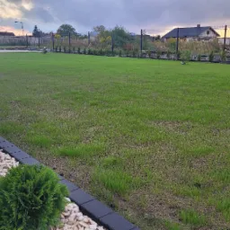 Rozległy trawnik z młodą trawą, obrzeża z kostki brukowej, ozdobne krzewy i białe kamienie, w tle domy i zachodzące słońce.