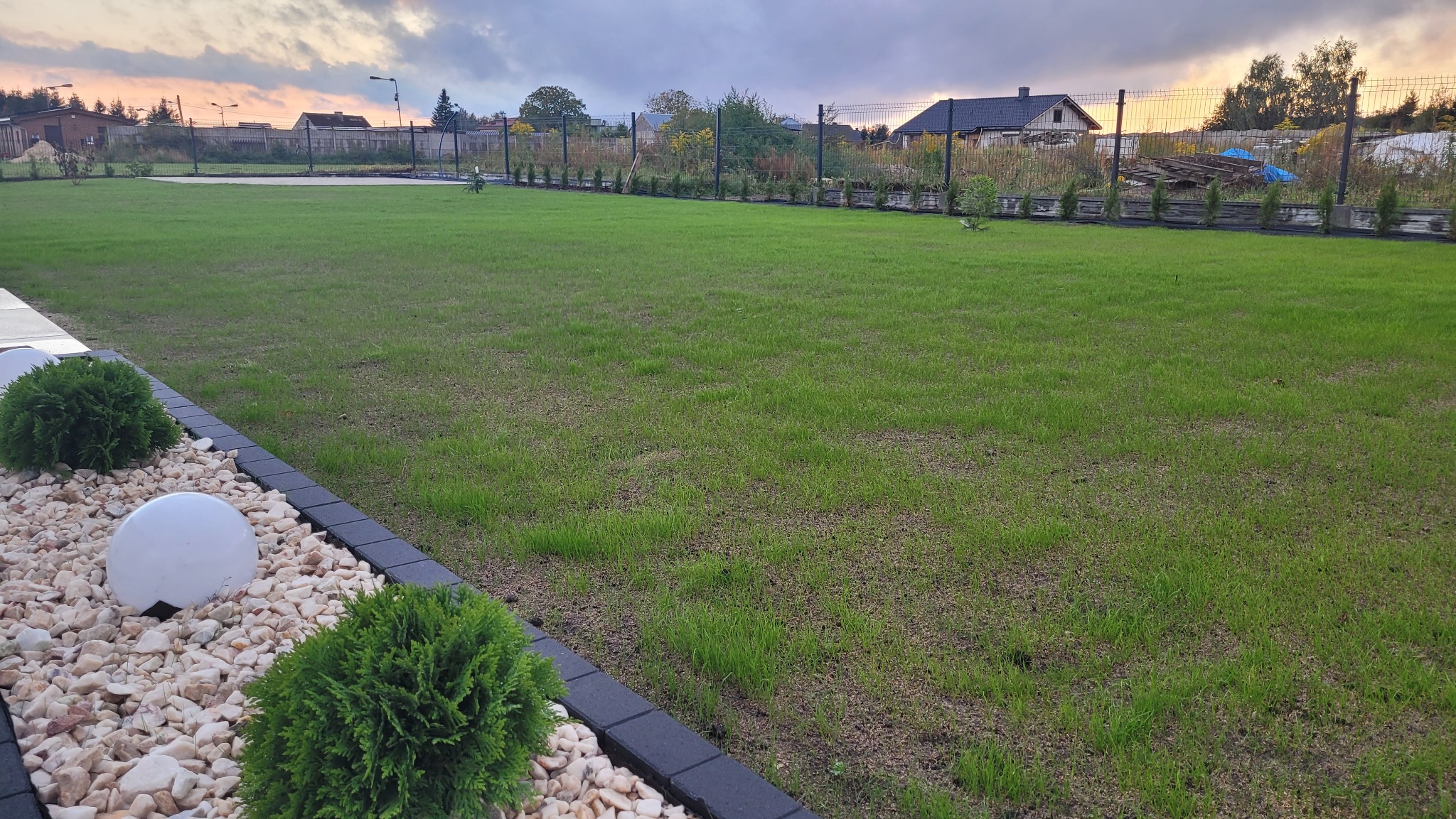 Rozległy trawnik z młodą trawą, obrzeża z kostki brukowej, ozdobne krzewy i białe kamienie, w tle domy i zachodzące słońce.