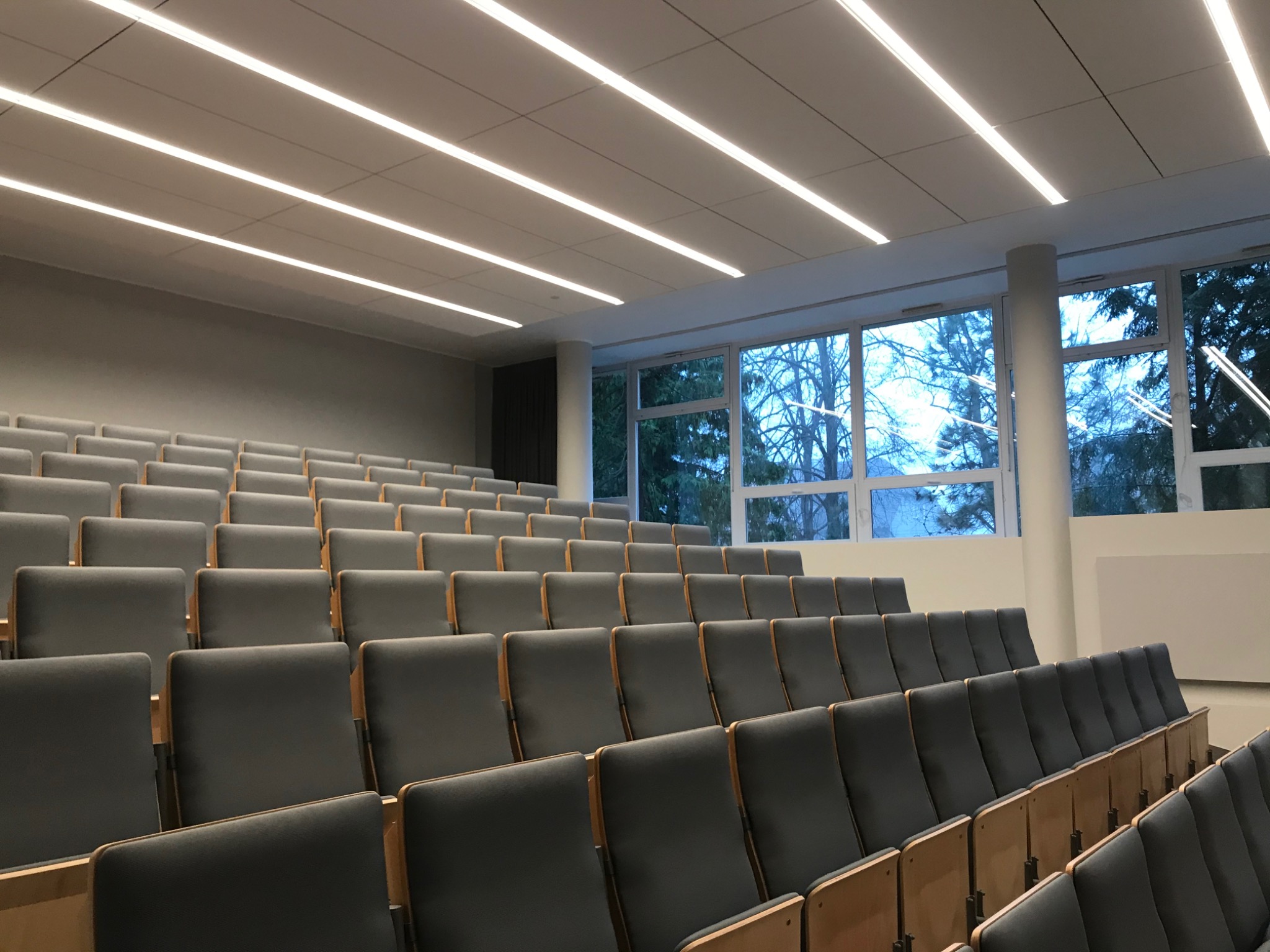 Sala wykładowa z rzędami szarych krzeseł, oświetleniem liniowym na suficie i widokiem na drzewa za oknem