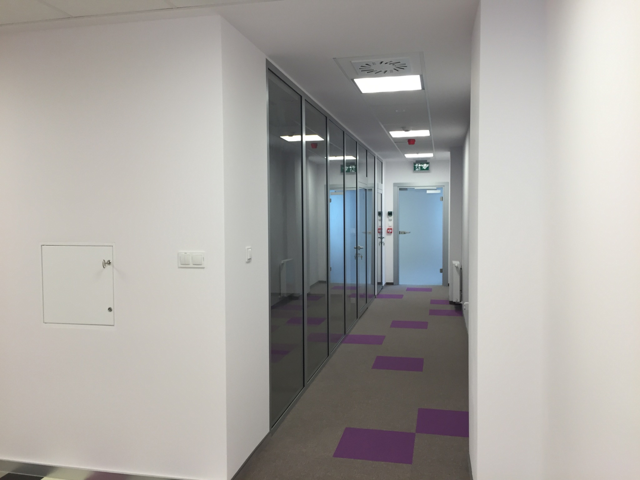 Korytarz biurowy z szarym dywanem w fioletowe kwadraty, przeszklone ściany działowe z widocznymi grzejnikami wewnątrz pomieszczeń i białymi ścianami.