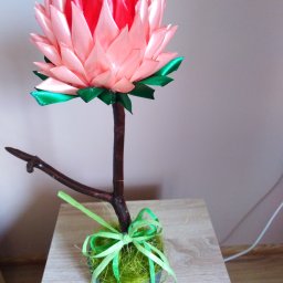 Rękodzieło, muzyka, kultura i sztuka Zatory 4