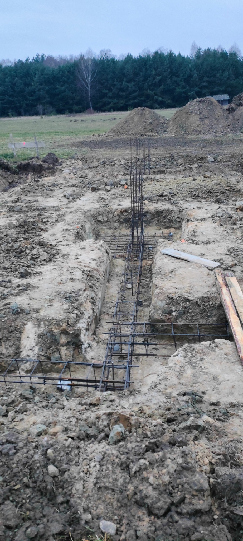 Zbrojenie fundamentów w wykopie, widoczne pręty pionowe i poziome, w tle ziemia i drzewa.