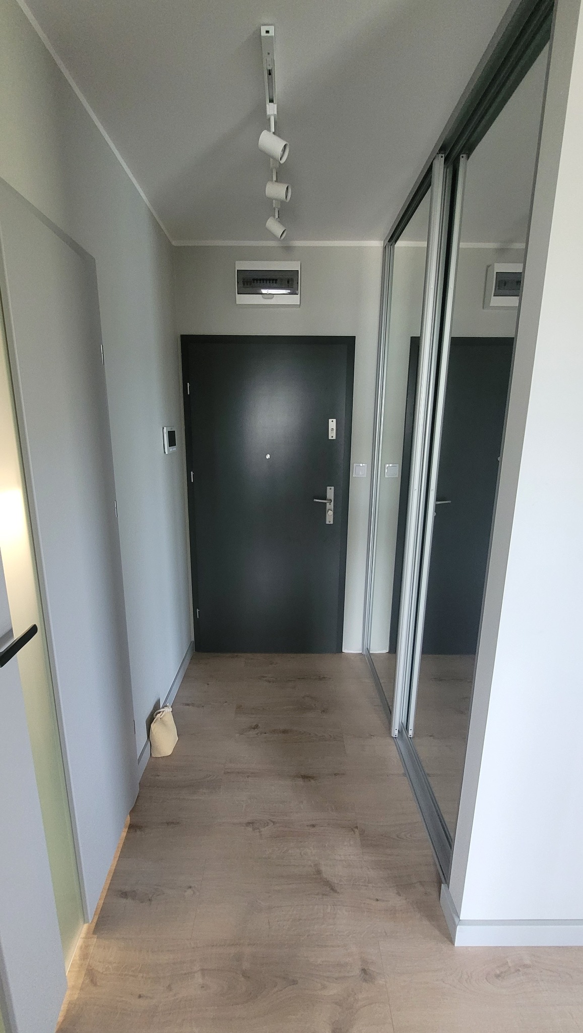 Wyremontowany korytarz z ciemnymi drzwiami wejściowymi, przesuwną szafą z lustrami i drewnianą podłogą, oświetlony reflektorami na szynie.