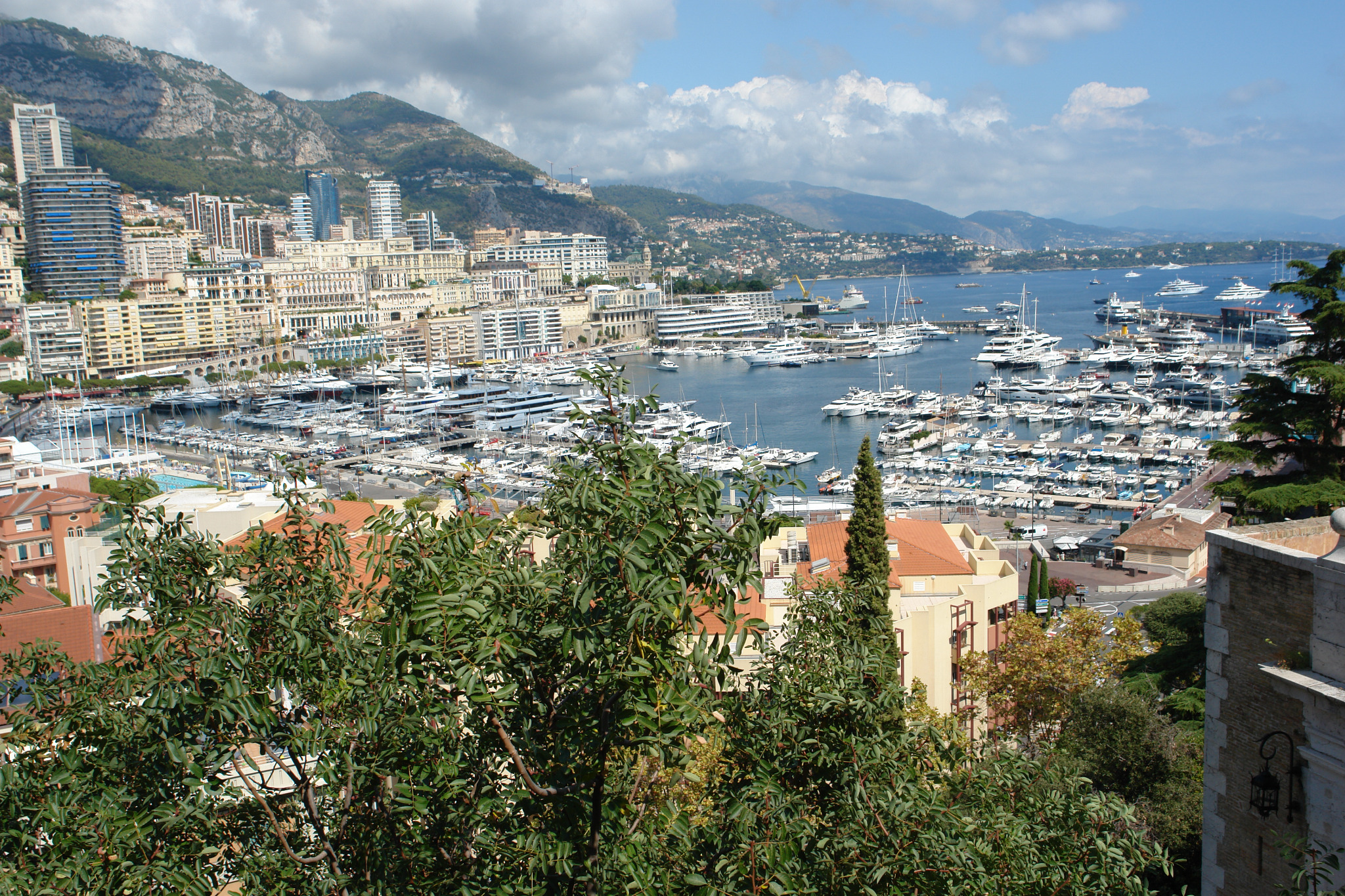 Panorama Monako z widokiem na port jachtowy pełen luksusowych jachtów i łodzi, w tle zabudowa miejska wkomponowana w górzysty krajobraz, ujęcie zza zieleni drzew.