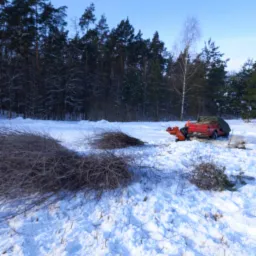Rębakowanie gałęzi z karczowanej działki